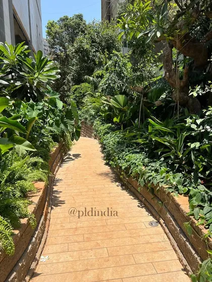 A winding stone pathway meanders through a dense, tropical garden I designed in South Mumbai. The path is flanked by raised planters filled with a variety of ferns, palms, and broad-leafed plants, creating an immersive and serene walking experience.