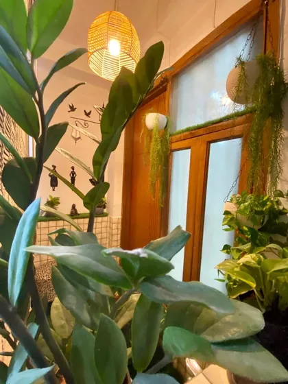 The space is filled with lush green plants, adding a touch of nature and life to the indoor environment.