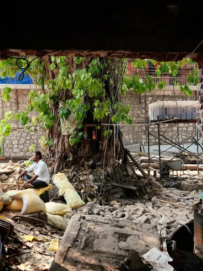 A view through a dismantled wall reveals the Banyan tree at the heart of the courtyard. This project was an intensive examination, requiring surgical interventions to stabilize crumbling walls and sagging roofs.