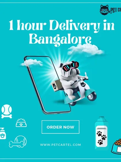 Ran out of pet food? We've got your back. For our customers in Bangalore, we offer super-fast 1-hour delivery on all your pet supply needs. This graphic highlights our promise of getting you what you need, when you need it, without the hassle.