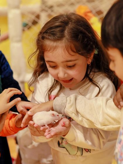 A young guest is fascinated by a gentle hamster from the magic show. These up-close animal encounters are a unique and memorable experience.