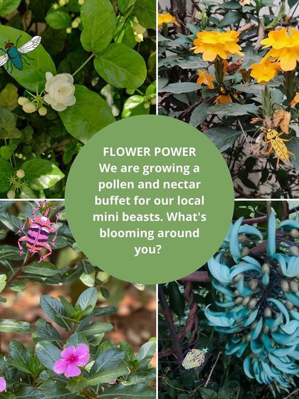 Earthlings Early Years - Preschool & Daycare Learning in Nature's Classroom photo 9