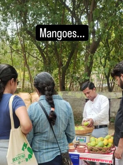 Customers browsing a stall filled with different varieties of naturally ripened mangoes.