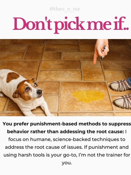 I'm very direct about my training style, so I want you to know if we're the right fit. I believe in empowering you, the owner, to build a strong relationship with your dog through positive reinforcement, not quick fixes or harsh methods.