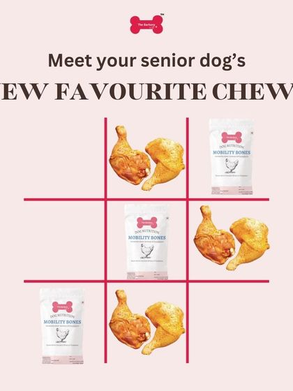 The Barkery by NV - Functional & Health-Specific Treats Joint & Mobility Support photo 7