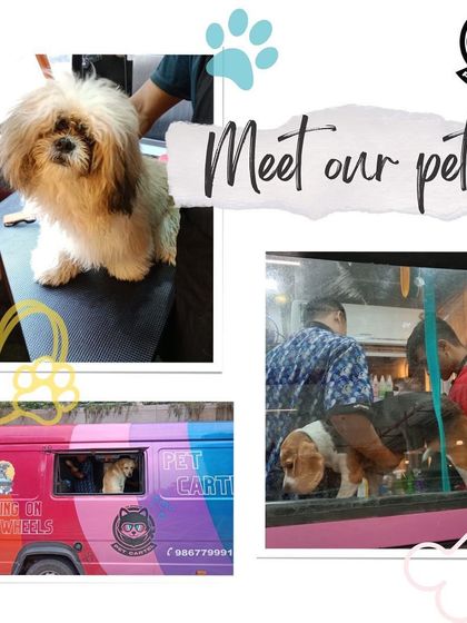 Pet Cartel - Mobile Pet Grooming Happy Tails: Customer Stories photo 11