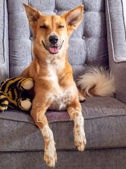 This gorgeous indie girl looking so pleased with herself, relaxing in her favorite chair at home. Her personality shines through in this candid shot.