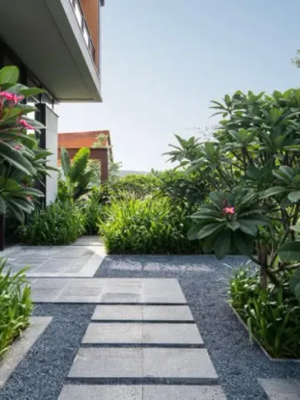 A modern garden path using a combination of gravel and stone pavers. The path is surrounded by lush Plumeria trees and other tropical plants, creating a sensory experience.