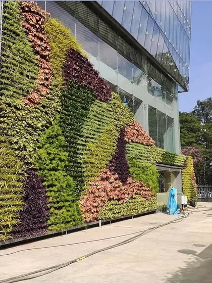 This is an example of a large-scale commercial project, where I installed a multi-story vertical garden on a modern glass building facade, creating a massive visual impact.