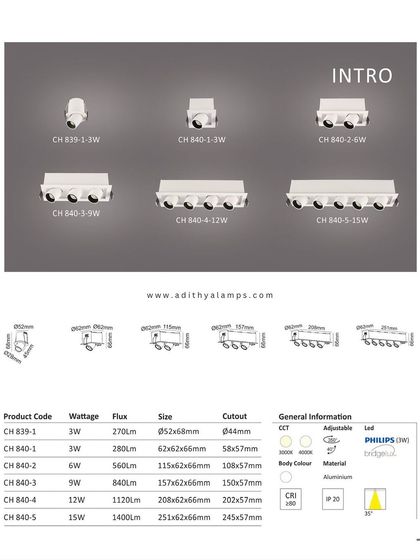 The product catalog page for our 'Intro' series of recessed architectural lights. It shows the full range from single to five-light modules, with detailed specifications for wattage, size, and cutout dimensions.