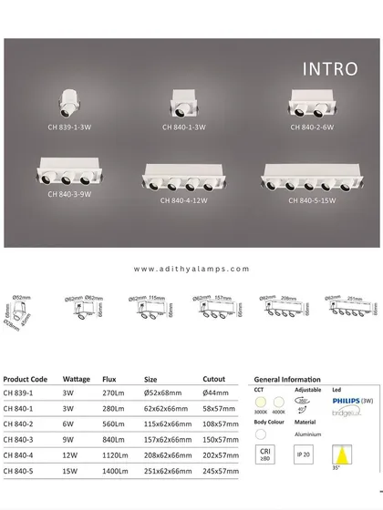 The product catalog page for our 'Intro' series of recessed architectural lights. It shows the full range from single to five-light modules, with detailed specifications for wattage, size, and cutout dimensions.