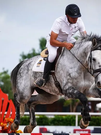 This is what we breed for. Here is one of our very own Embassy bred stars, Catharina, showing incredible power and form in the show jumping arena. We focus on producing athletic horses with the talent and temperament for top level competition.