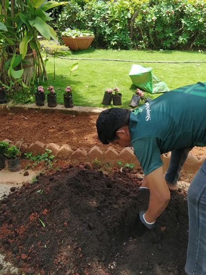 Proper soil preparation is key to a healthy garden. Here, one of my team members is mixing compost into the soil to enrich it with nutrients before planting begins.