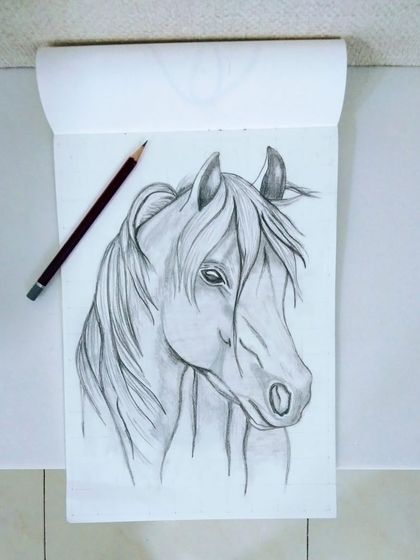 A simple pencil can create such a majestic horse portrait. Here we focused on the flow of the mane and the structure of the face.