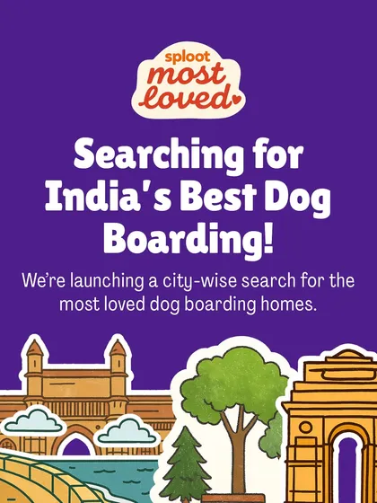 We're launching a city-wise search for India's best dog boarding homes. This graphic explains our mission to create a trusted, community-vetted list to help dog parents everywhere.