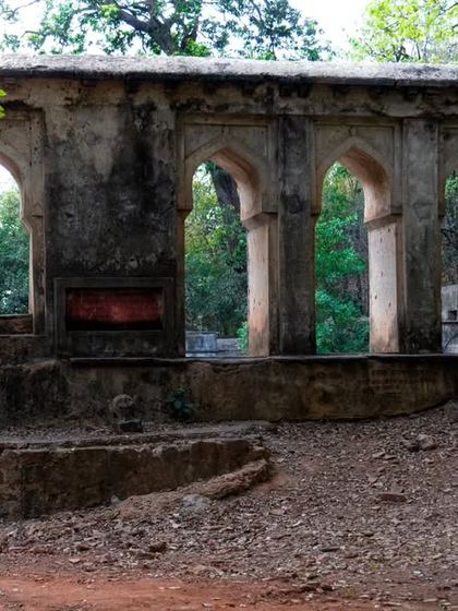 Tigers of India's Jungles photo 11