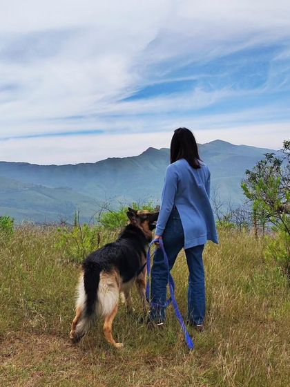 Looking out at the view together. Training gives you the freedom to explore the world with your dog safely and confidently.