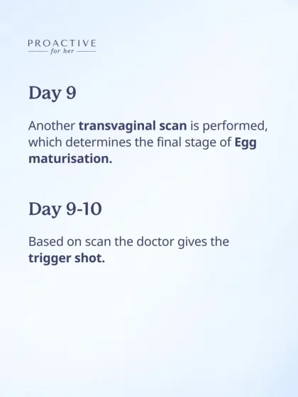 On day 9 or 10, another scan helps determine the final stage of egg maturation. Based on this, I administer the "trigger shot," which prepares your body for the egg retrieval procedure.