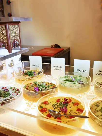 A display of our diverse dip selection, including Avocado Hummus, Baba Ghanoush, and Tzatziki, all beautifully garnished and ready to be enjoyed.