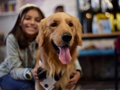 Another shot of this adorable pair. We ensure our in-house dogs are gentle and friendly, making them great companions for children.
