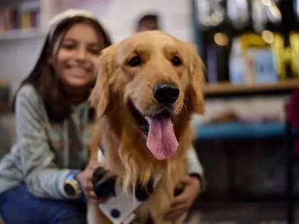 Another shot of this adorable pair. We ensure our in-house dogs are gentle and friendly, making them great companions for children.