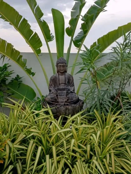 A garden is more than just plants. We can also install beautiful features like this Buddha water fountain to create a peaceful and relaxing atmosphere in your outdoor space.