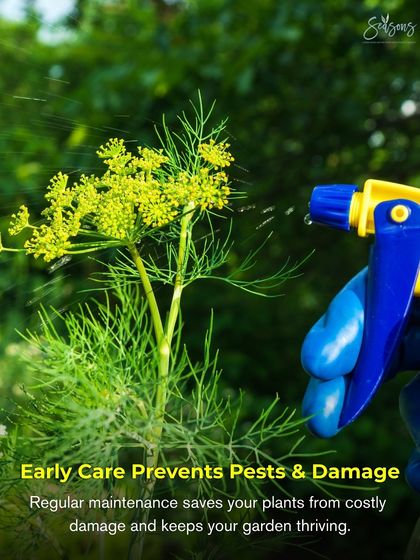 The Art of Quiet Care: Our Maintenance Process photo 6