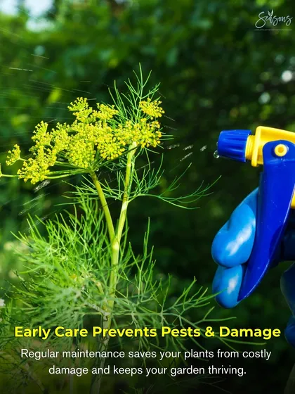 Early care prevents pests and damage. Regular maintenance, including proactive treatments, saves your plants from costly damage and keeps your garden thriving for years to come.