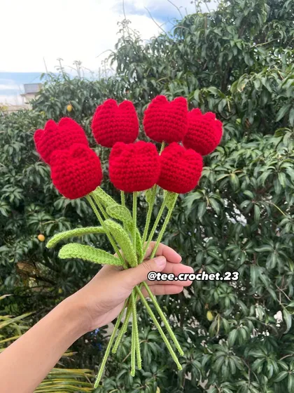 A handful of classic red tulip stems.