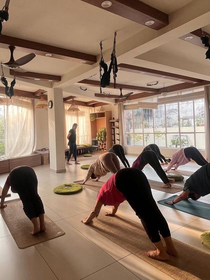 A class in Downward-Facing Dog, a classic pose that energizes and rejuvenates the body.