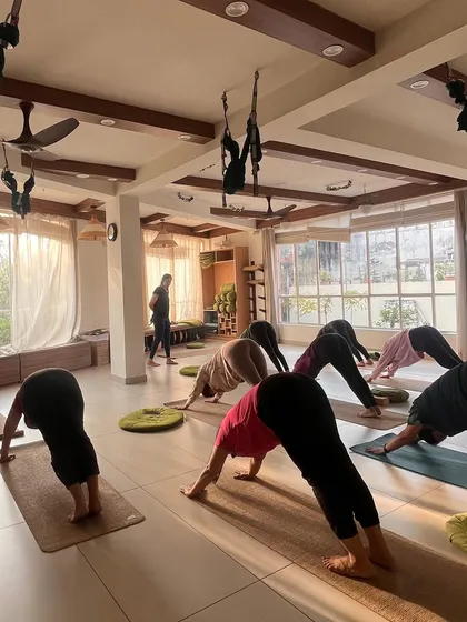 A class in Downward-Facing Dog, a classic pose that energizes and rejuvenates the body.