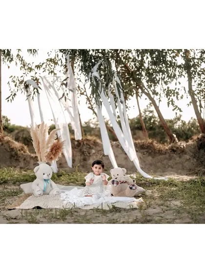 A beautiful picnic scene set in a rustic, wooded area. This little girl is enjoying the outdoors with her teddy bear friends, a perfect pre-birthday adventure.