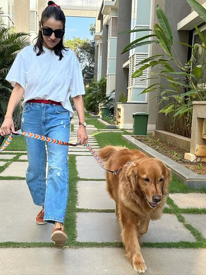 Nitika Ahlawat - Dog Training & Behavior Choosing the Right Gear photo 3