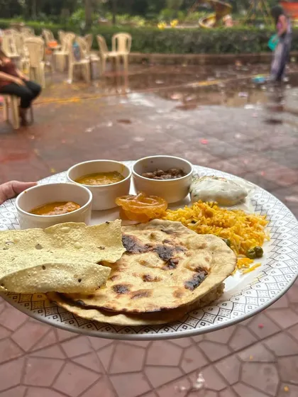 A guest's plate at an outdoor Holi party, filled with a delicious spread from my buffet.
