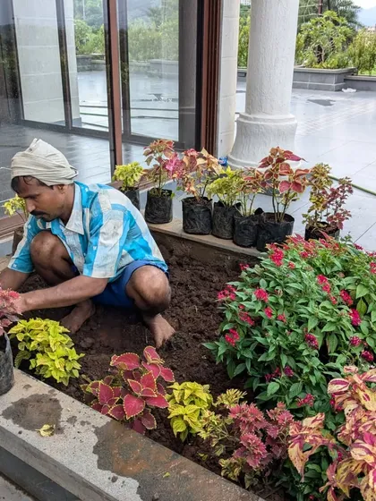 A worker plants colorful Coleus varieties in a built-in planter bed, adding a splash of color to the villa's patio area.