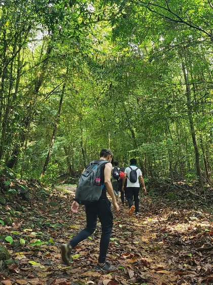 Trekkers walking through the lush green forest trail of Kurinjal.