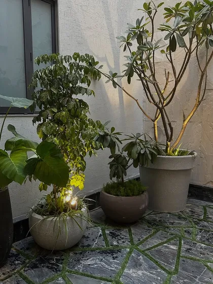 Another angle of the courtyard, showing the geometric pattern in the flooring created with artificial grass, adding a unique and modern touch to the space.