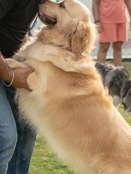 A big hug for a big, fluffy boy! This is the kind of warm welcome every dog gets at Poochkins.