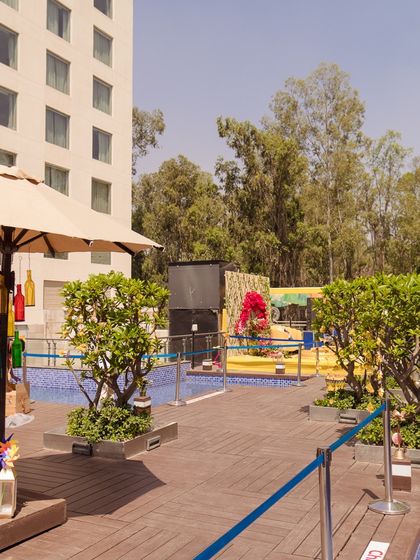 Vibrant Haldi & Mehndi Functions photo 40