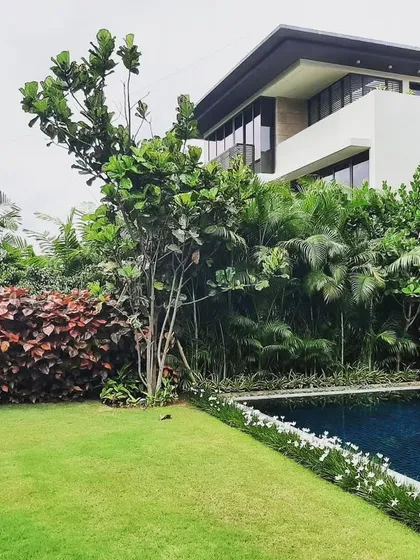 I design and maintain gardens that seamlessly integrate with your home's architecture. This villa backyard at Embassy Boulevard features a pristine lawn that meets the edge of a swimming pool, complemented by a vibrant red-leafed hedge and tropical foliage.