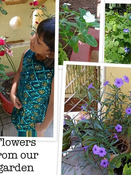 Tiny Mustards - Montessori Preschool Program Our Community & Learning Space photo 119