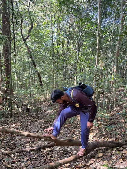 A trekker carefully crossing a log, barefoot to get a better grip.