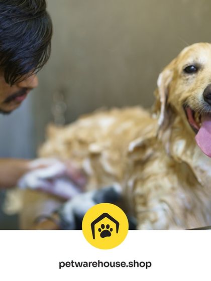 Pet Warehouse - Pet Grooming Services Words from Our Pet Parents photo 42