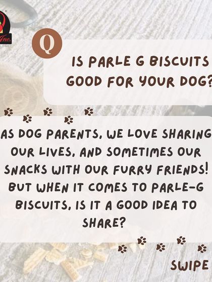 Anvis - Pet Relocation Pet Care & Boarding photo 4