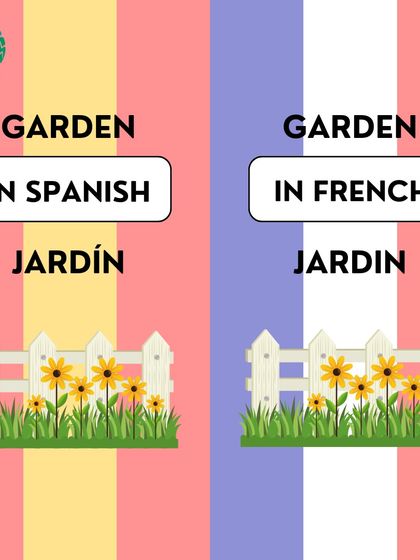 Sometimes, words can be the same across languages. The word for 'garden' is 'jardín' in Spanish and 'jardin' in French, showing their shared roots.