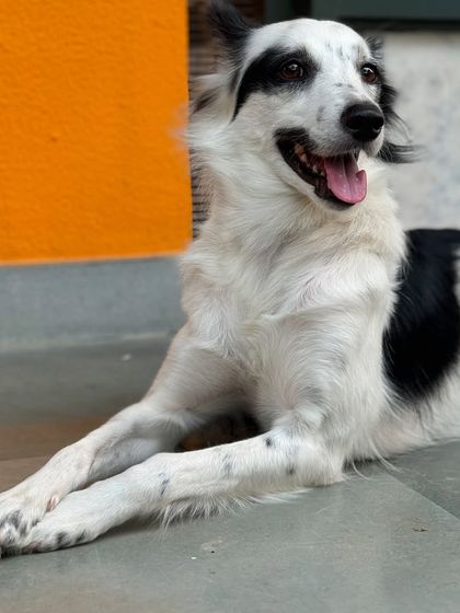 Puchu relaxing at the center, a place she has grown to love and feel comfortable in.