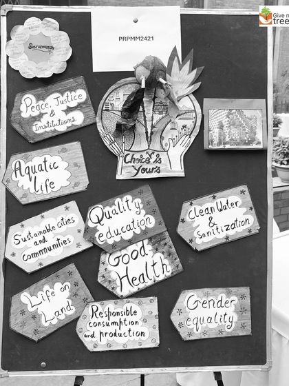 A student project board highlighting various Sustainable Development Goals. This shows a deep understanding of how environmental work connects to global issues.