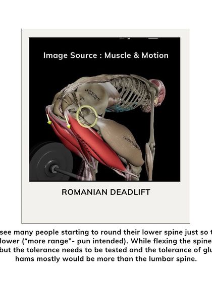 An educational graphic explaining the proper mechanics of a Romanian Deadlift (RDL), emphasizing that the goal is hip extension, not spinal flexion.