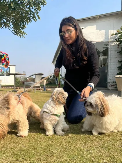A guest enjoying the sunshine on our lawn with her three dogs. Our open green spaces are perfect for pets to relax.