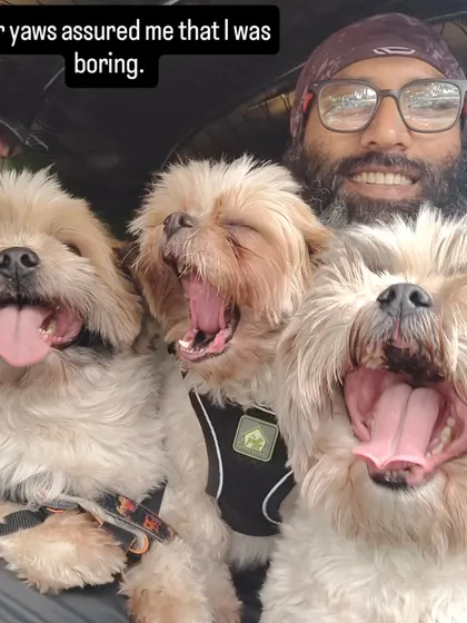 A little pickup story. I started telling them a story, and their yawns told me exactly how boring I was. I love the personalities on these little cartoons.